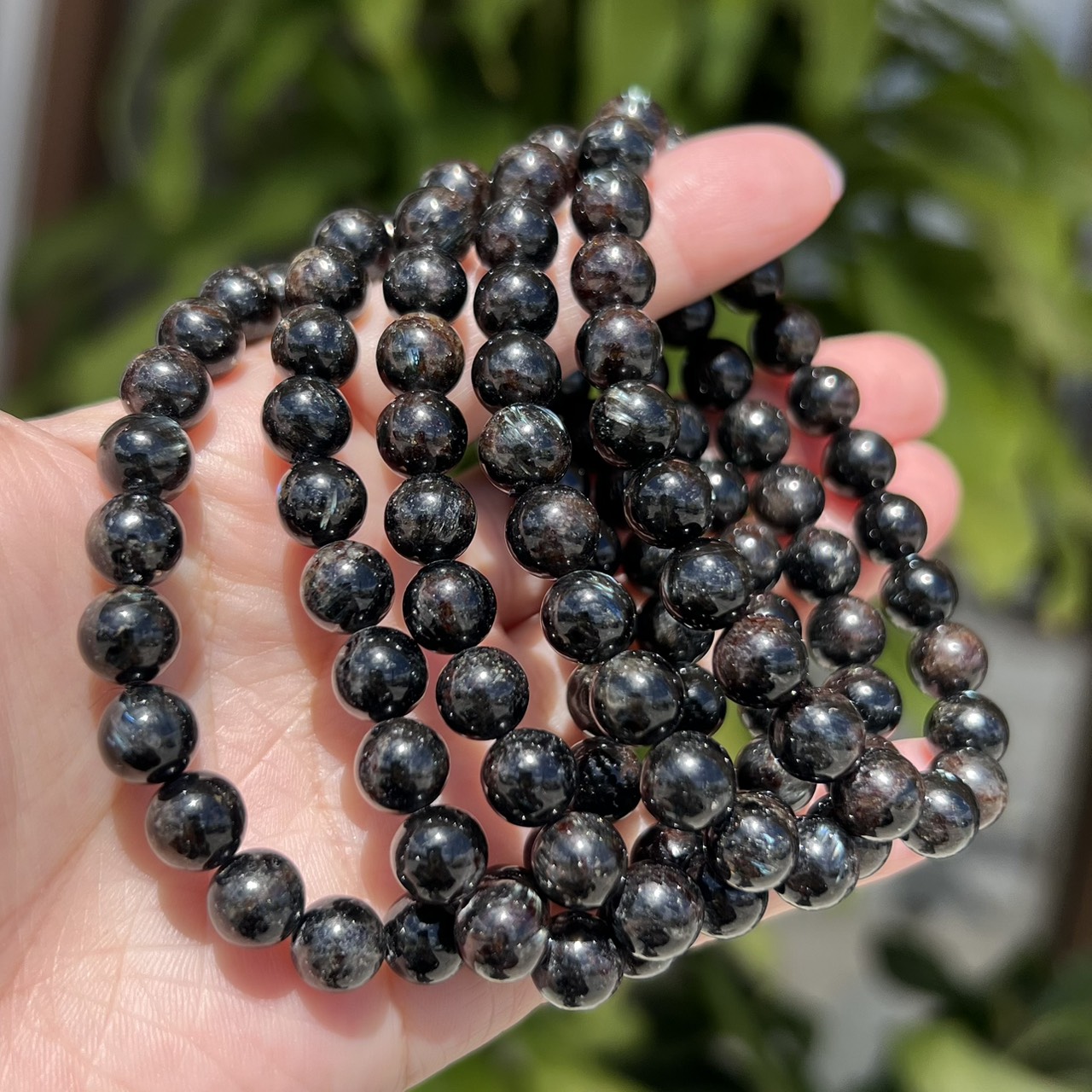 ホーンブレンド・ナイス