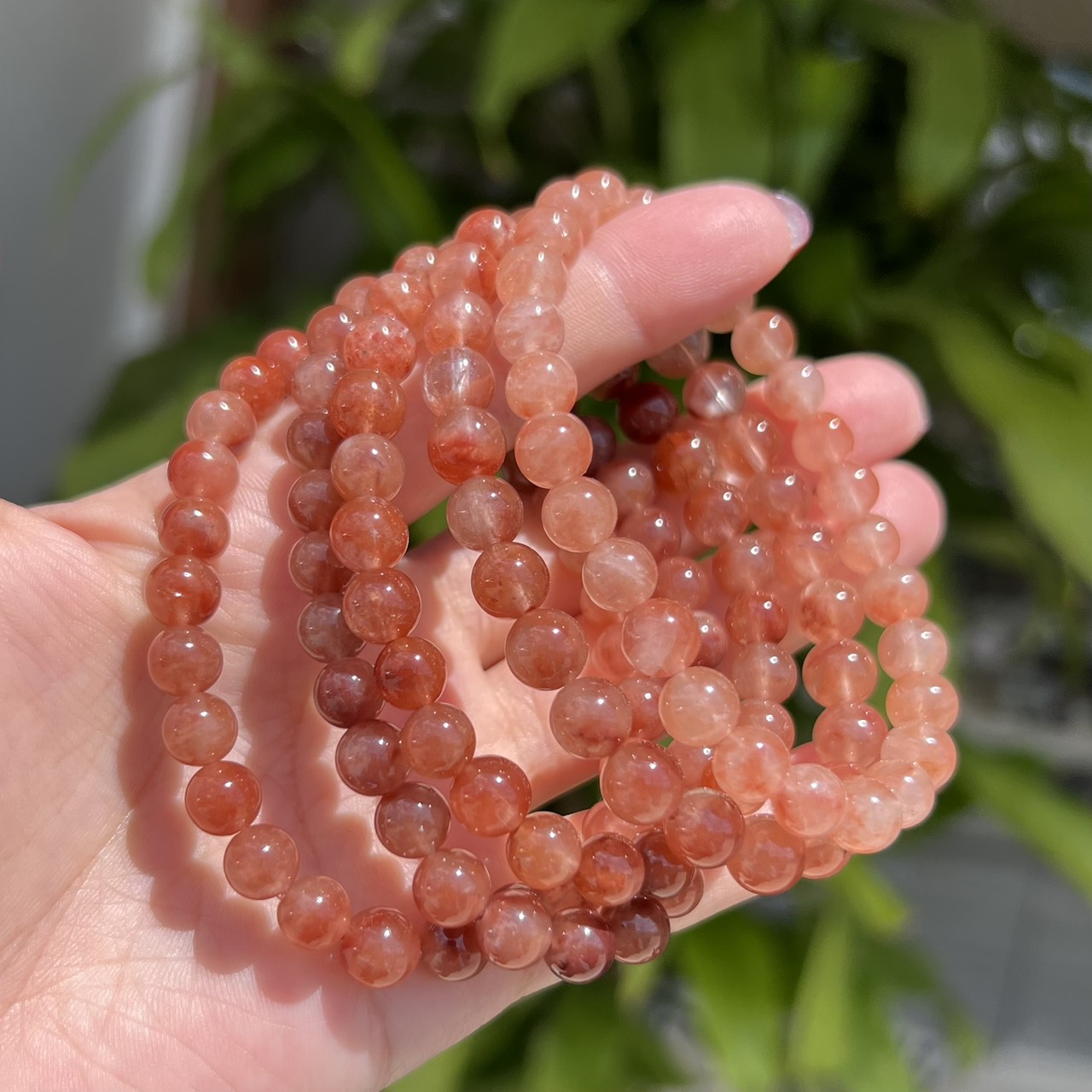 アンフィボール