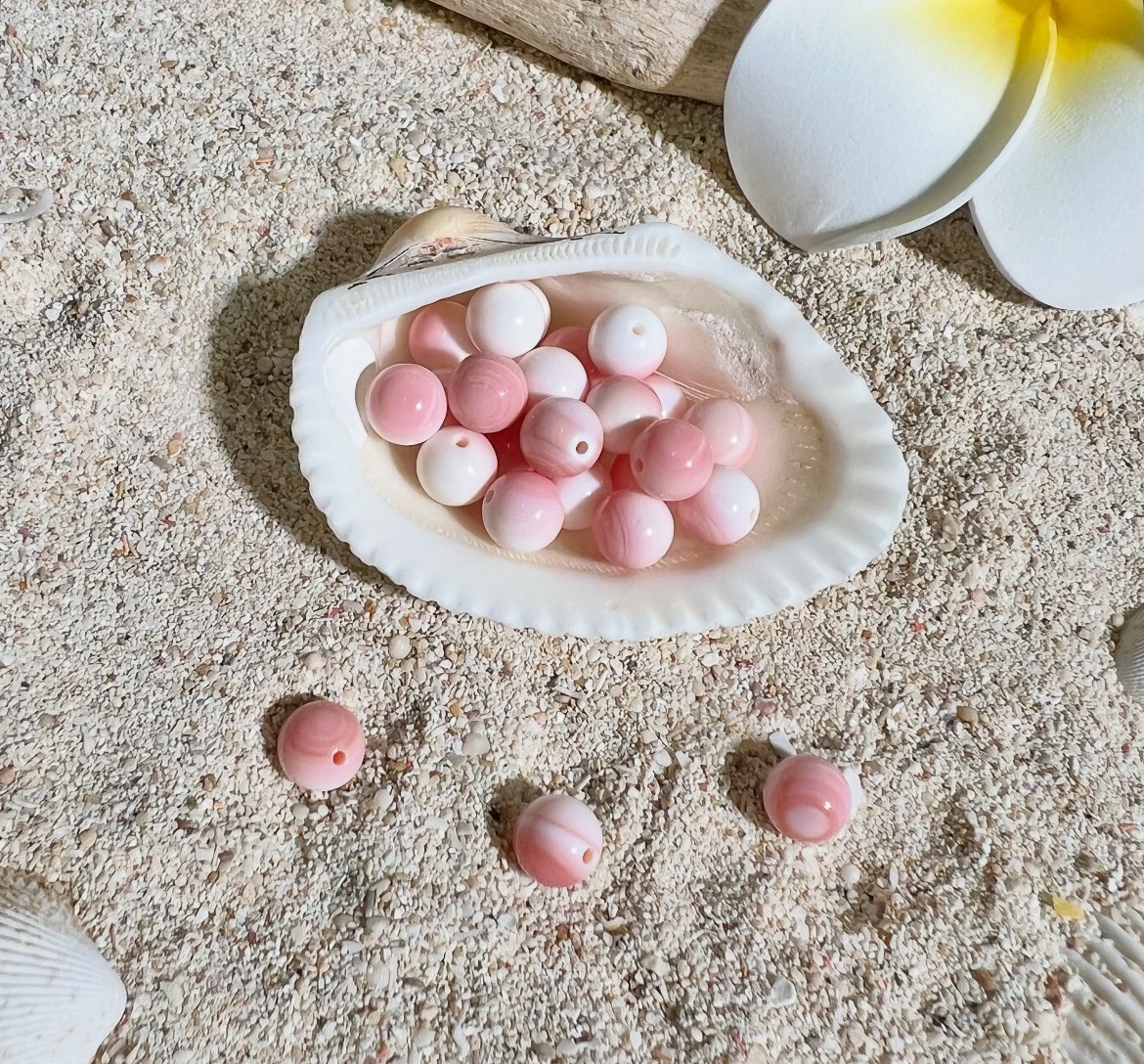 クイーンコンクシェル