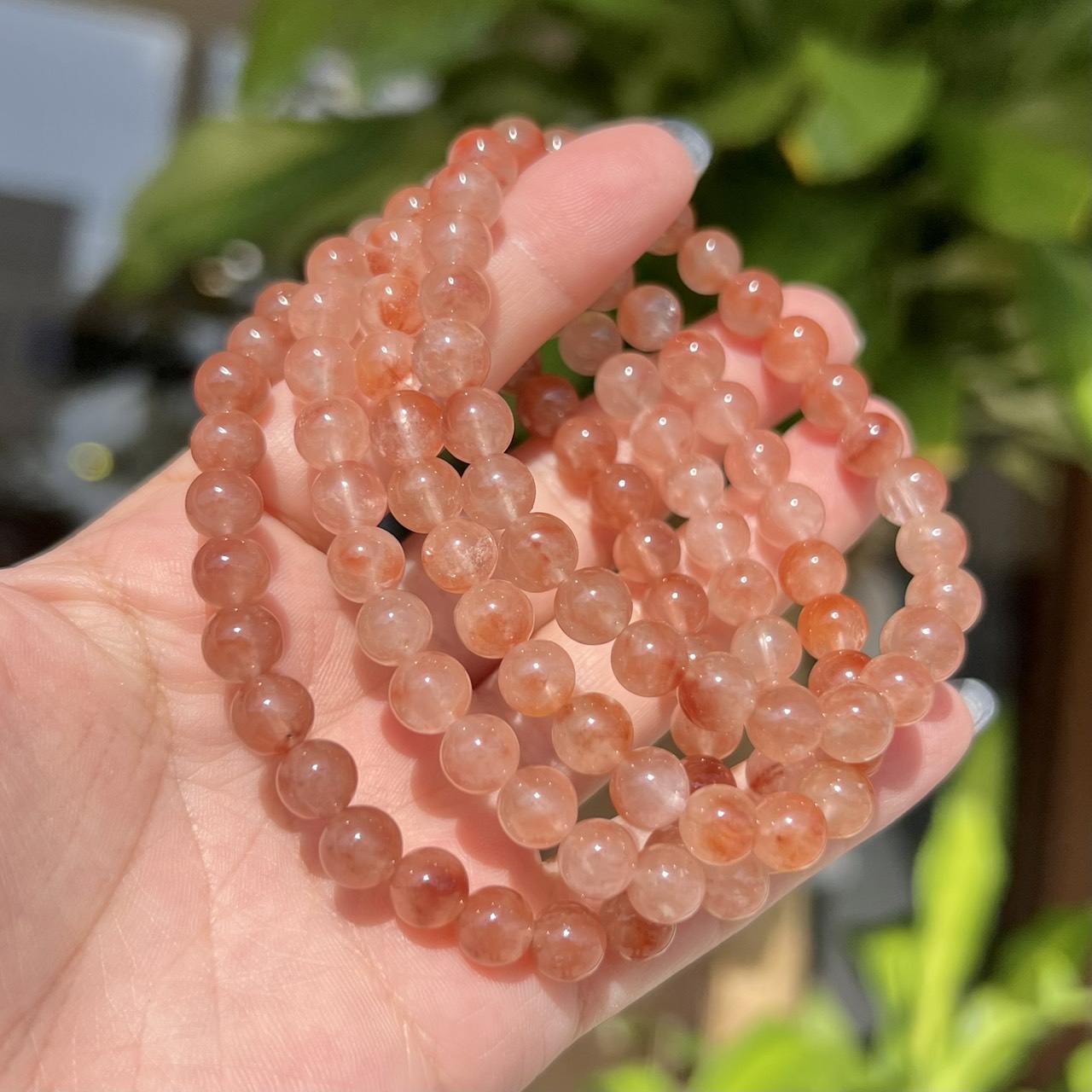 アンフィボール